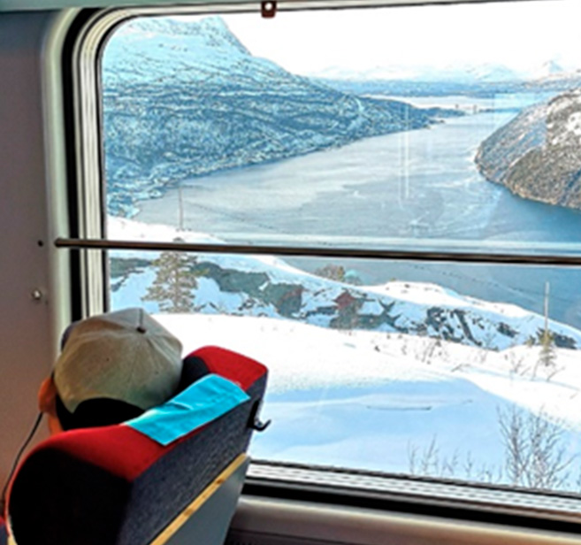 Tren Kiruna - Narvik, paisaje desde la ventana